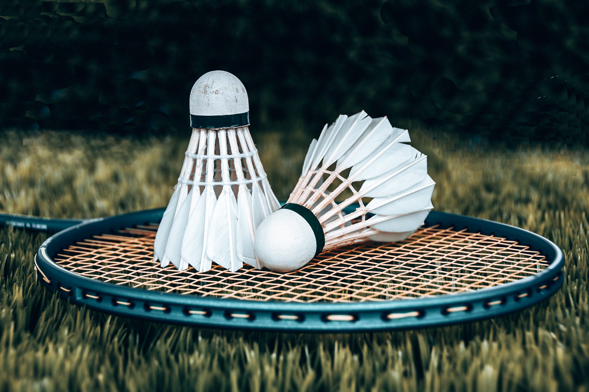 https://www.badmintonzimbabwe.org/wp-content/uploads/2023/11/badminton-1428047_1920-2.jpeg